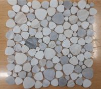 Aphrodite Coastal Honed 12 x 12